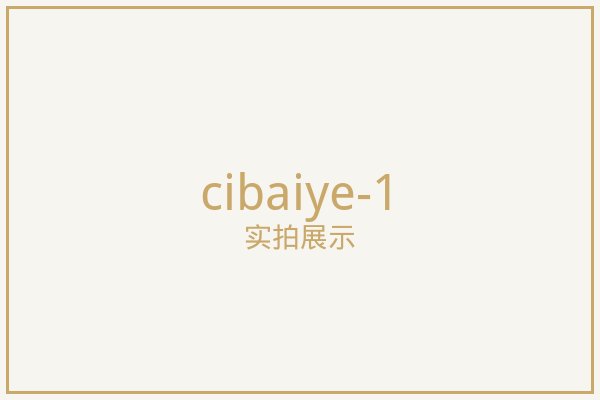 北京磁控百叶窗